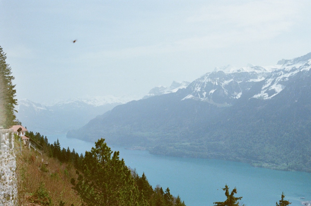 View of the lake from ⁨Harder Kulm⁩